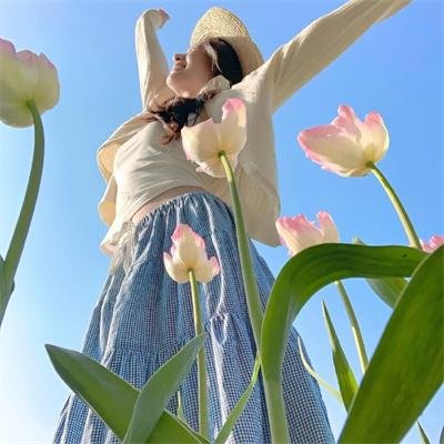 石纪元第三季